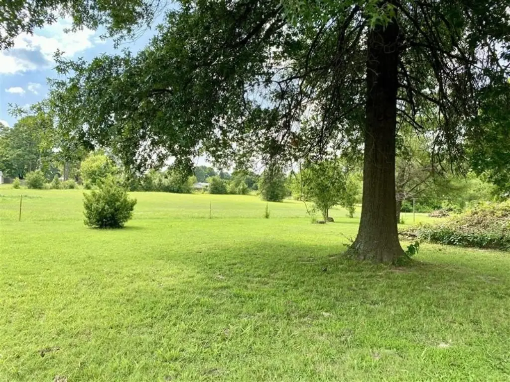 Picture 28
