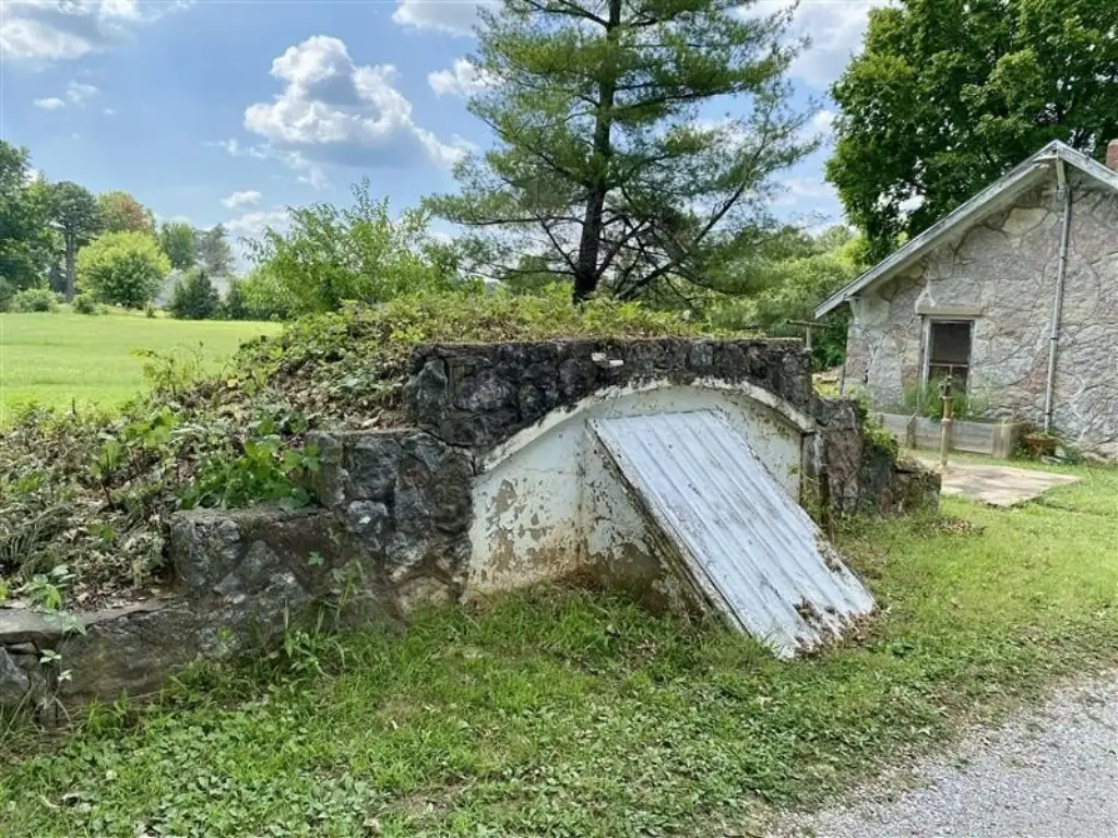 Picture 5