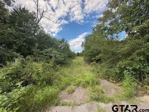 Grand Saline Vacant Lot