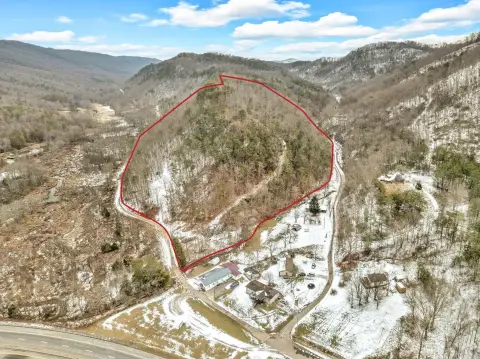 Undeveloped Wooded Land in Bean Station