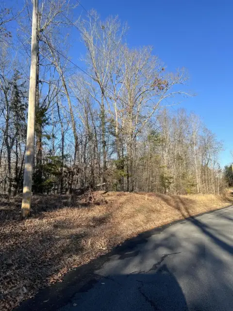 Land Near Douglas Lake