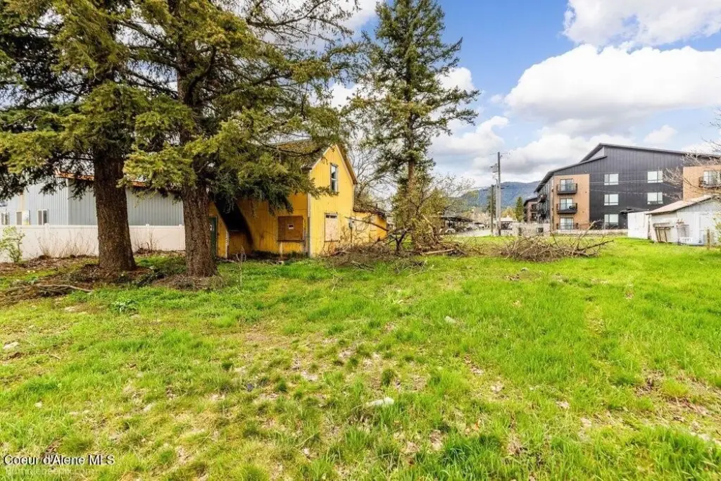 Picture 5