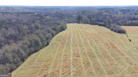 114 Acres of Open Pasture