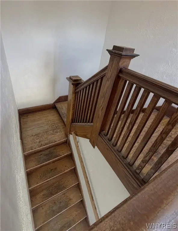 Picture 23