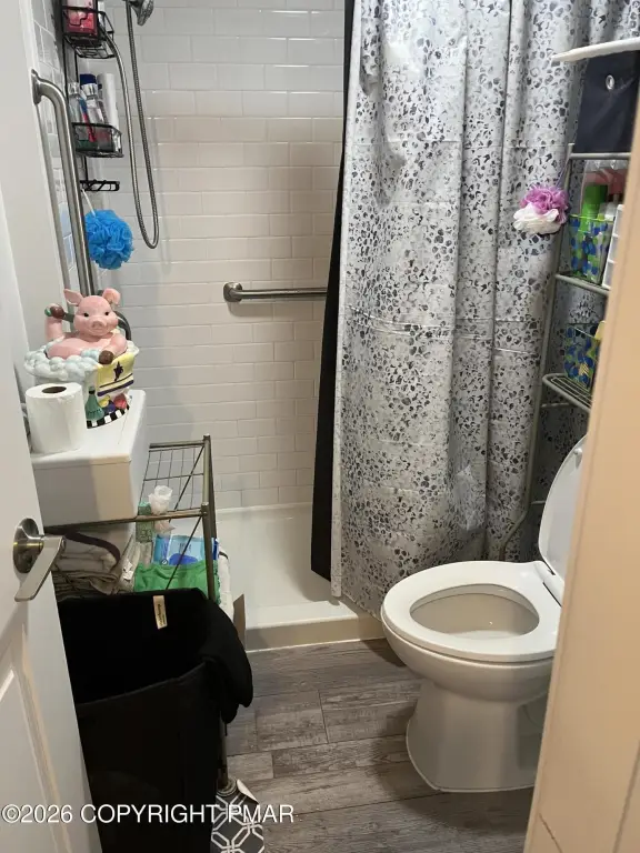 Picture 17