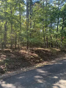Hot Springs Village Subdivision Lot