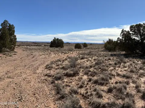 Residential Land in Snowflake, AZ