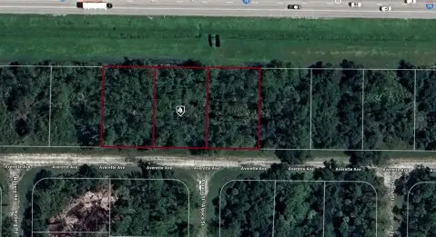 Residential Land in Growing North Port
