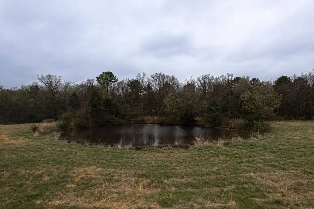 Picture 16