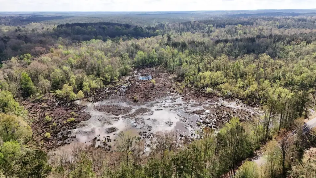 Picture 25