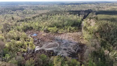 80 Acres Hunting/Timber Land