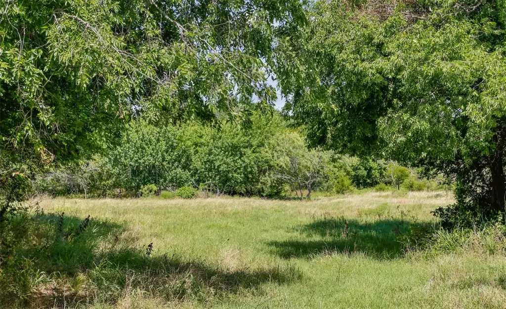 Picture 4