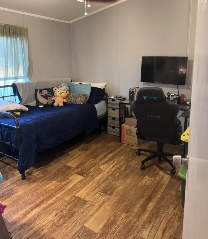 Picture 16