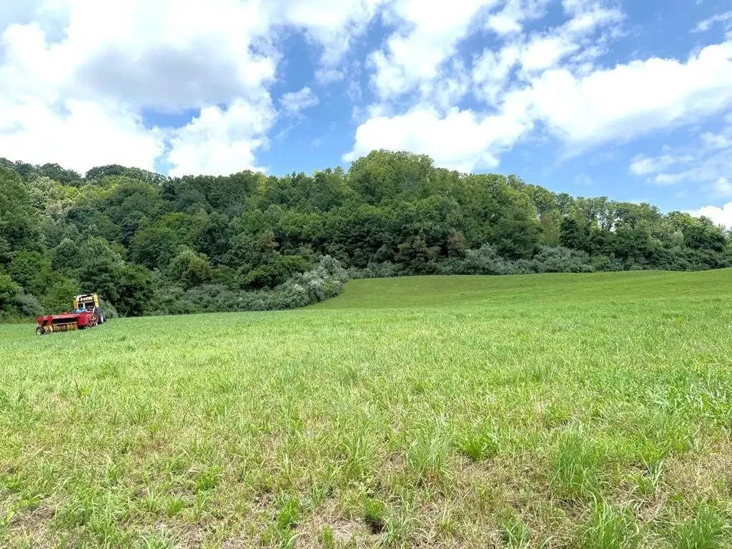 Picture 20