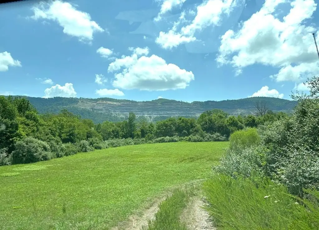 Picture 9
