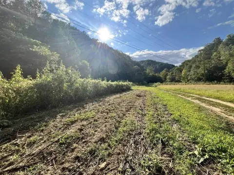 Undeveloped Land in Elkhorn City