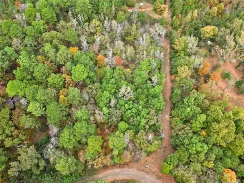 Wooded Land in Winona, Texas
