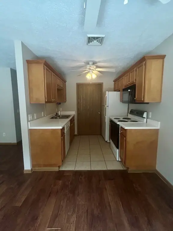 Picture 48