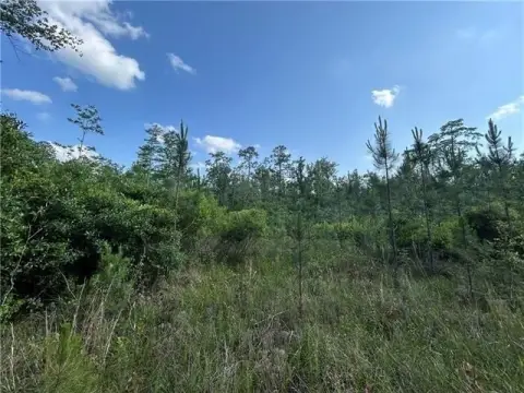 Residential Land in Lacombe, LA