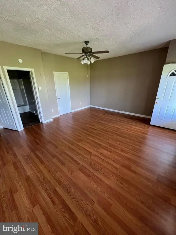Picture 22