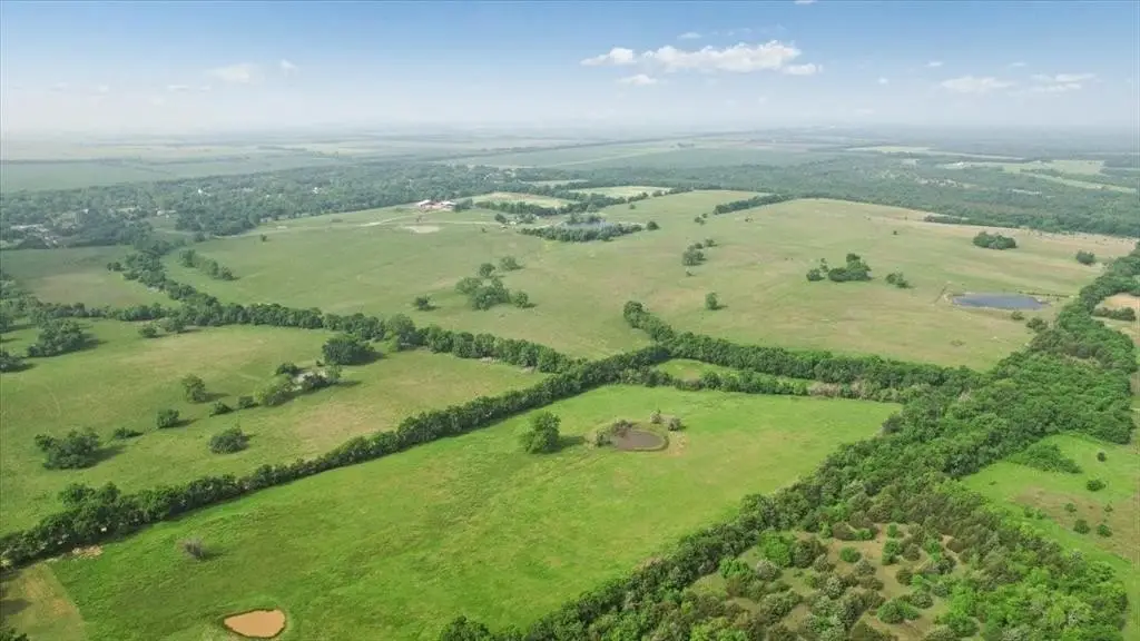 Picture 31