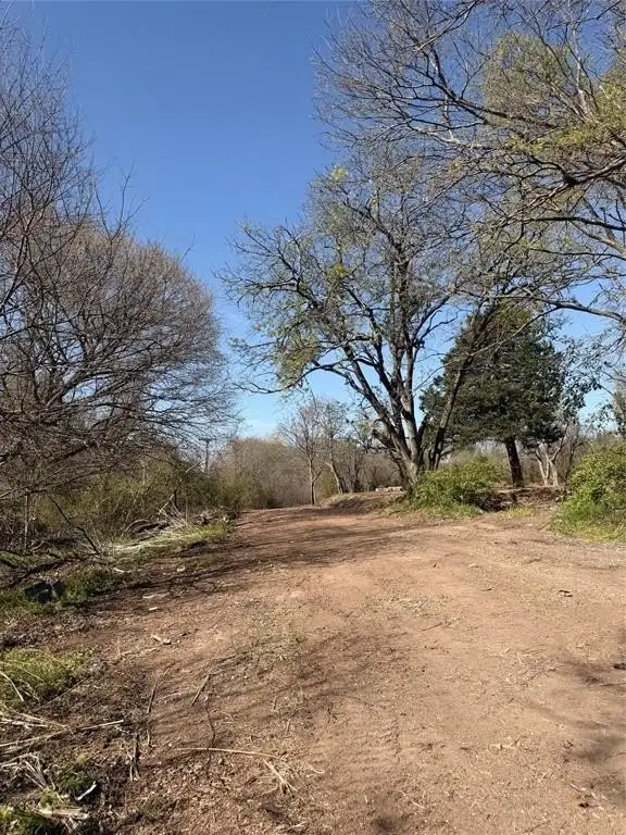 Picture 11