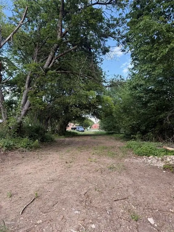 Picture 6