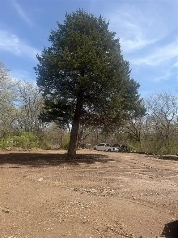 Picture 18
