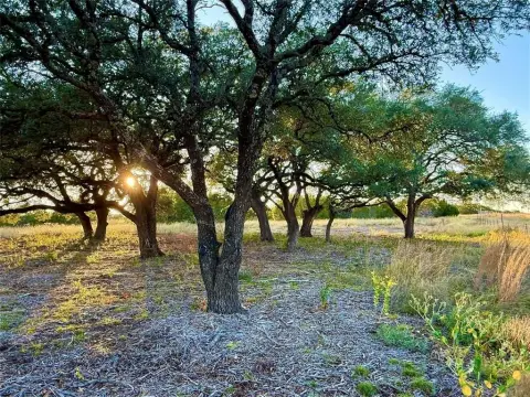 Secluded 92-Acre Ranch in Jonesboro, TX