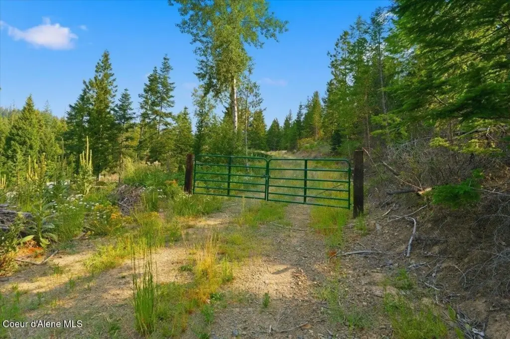Picture 8
