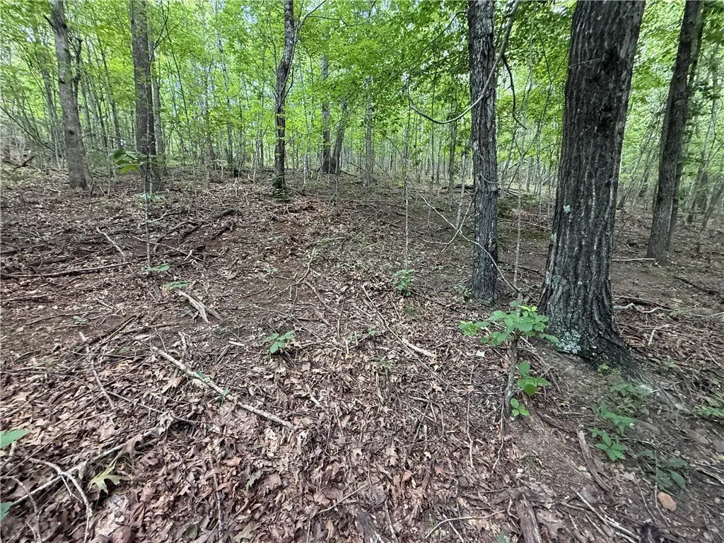 Picture 24