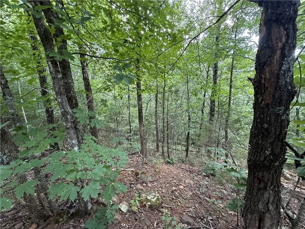 Picture 28