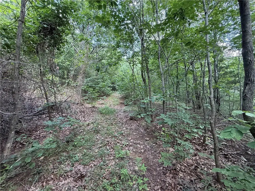 Picture 27