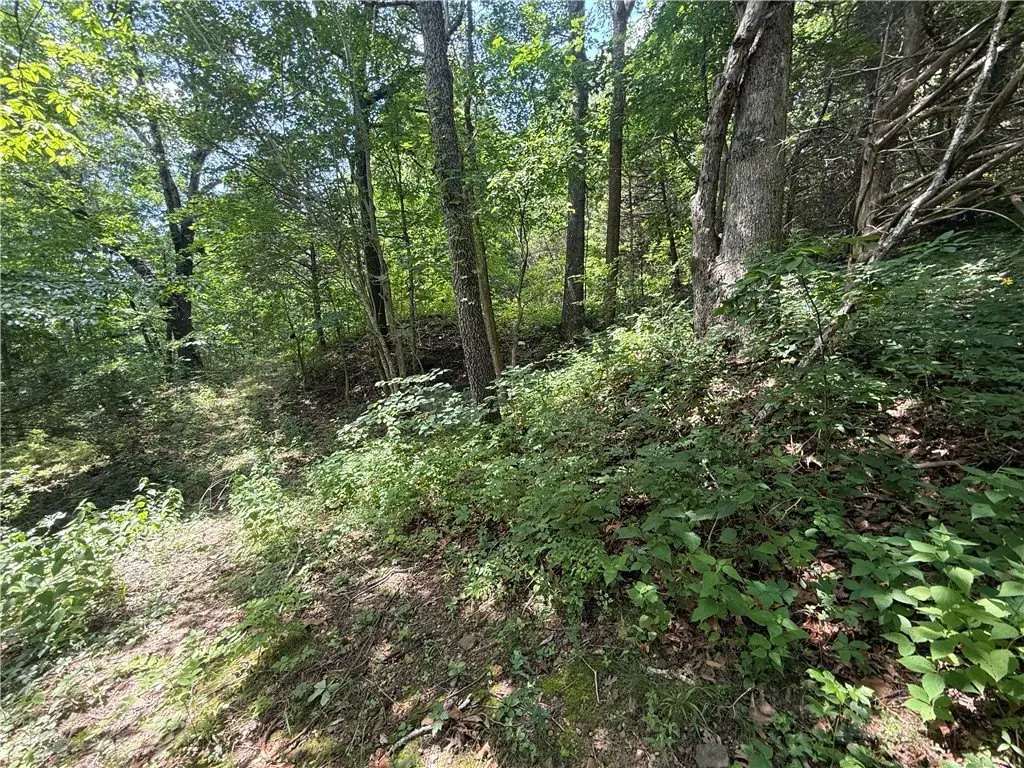 Picture 43