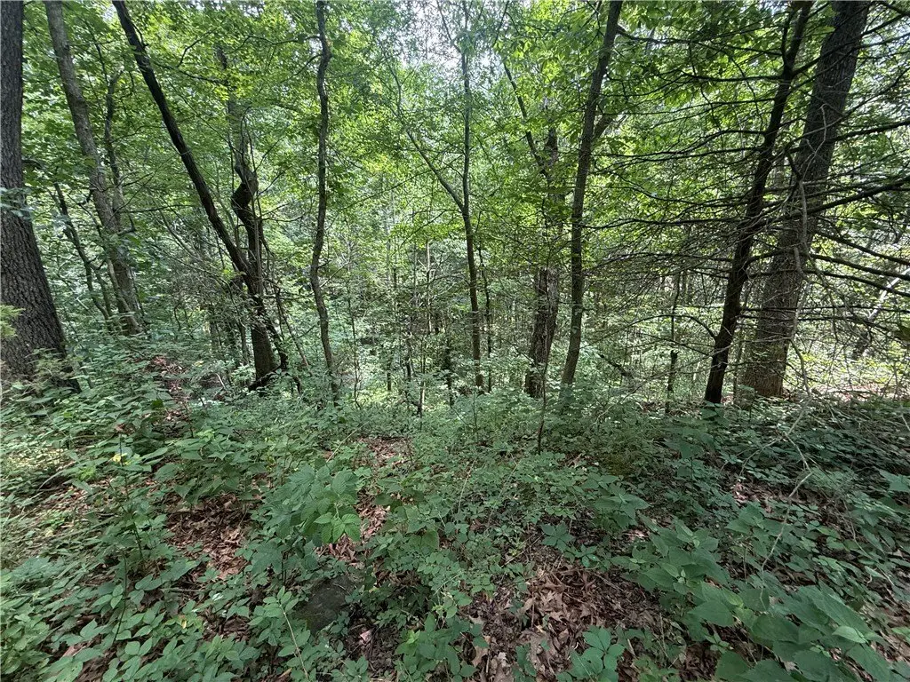 Picture 41