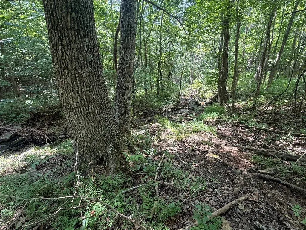 Picture 25