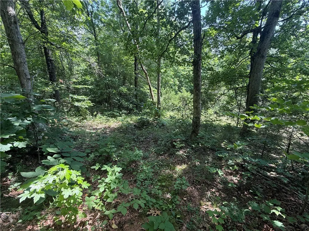 Picture 17