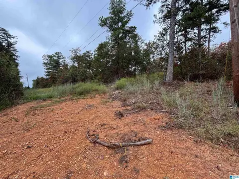 ODENVILLE Acreage with Scenic Views