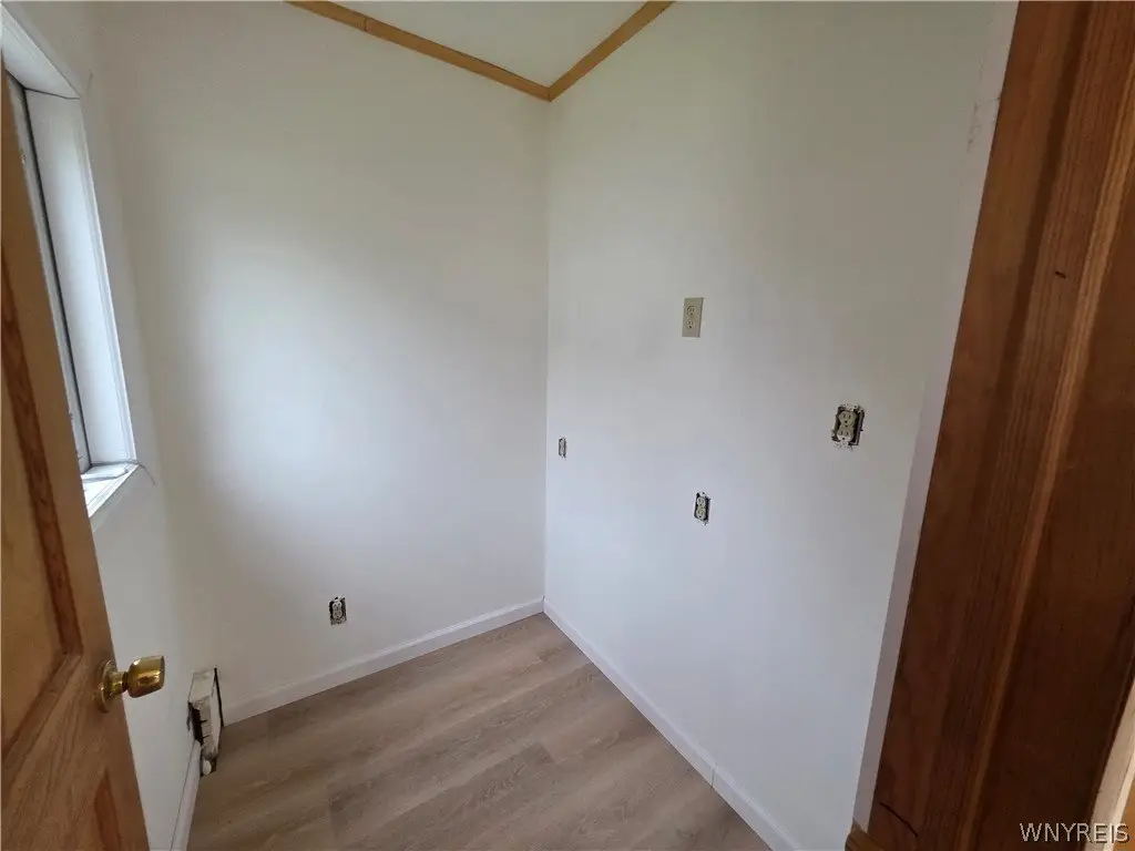 Picture 8