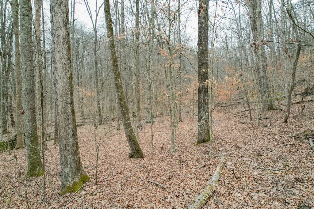 Picture 16
