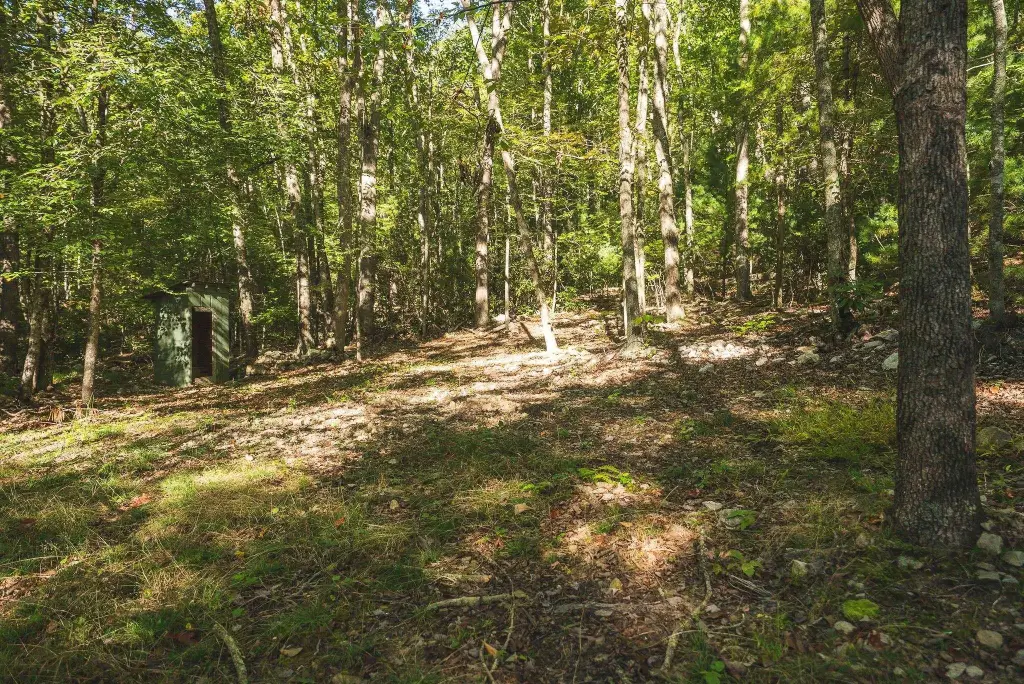 Picture 27