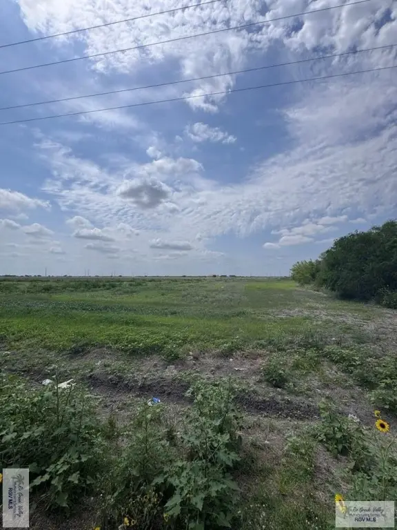 Picture 11