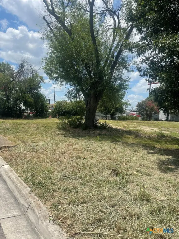 Picture 5