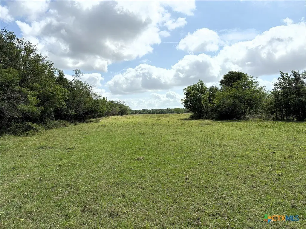 Picture 14
