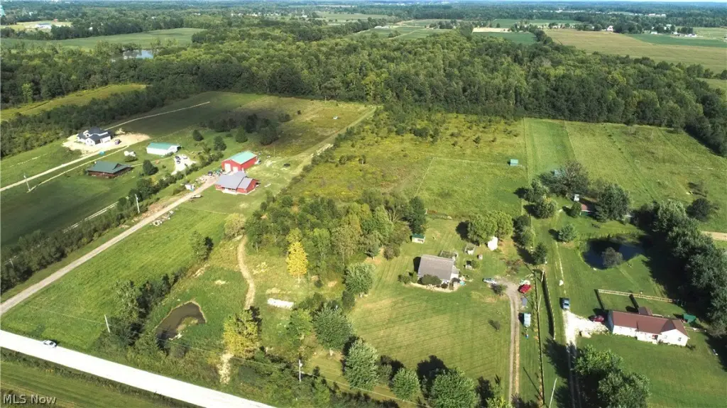 Picture 4