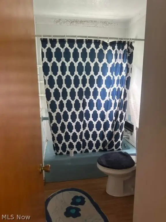 Picture 4