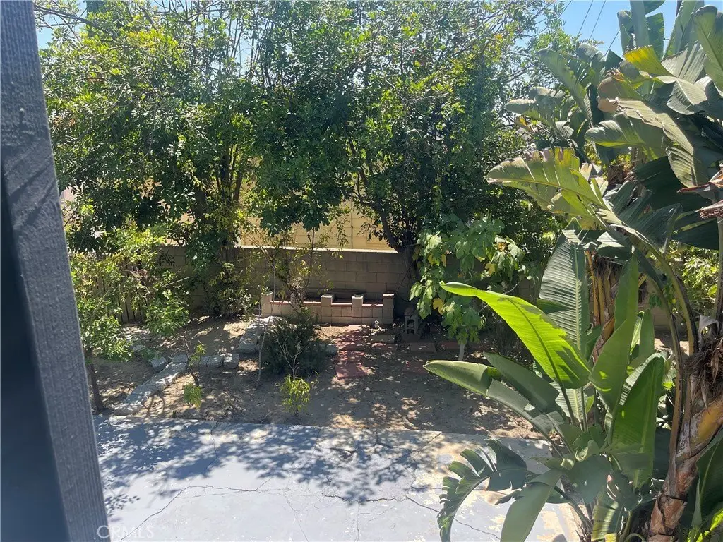 Picture 16