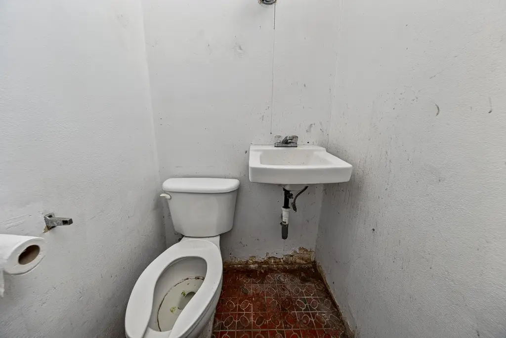 Picture 24