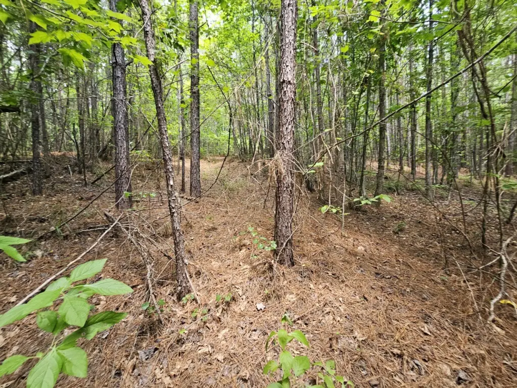 Picture 21