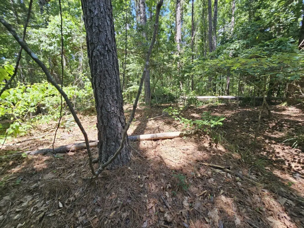 Picture 9